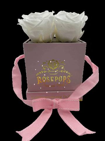 Different Colors Of Rosas GIF