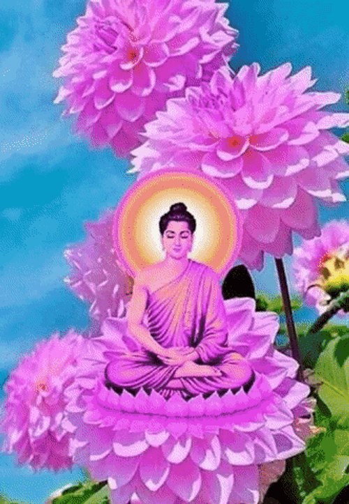 Different Images Of Buddhas GIF