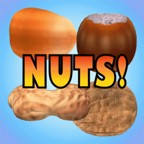 Different Kinds Of Nuts GIF