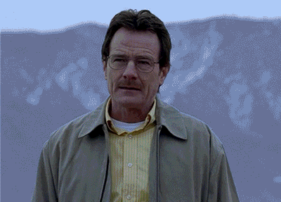 Different Look Walter White Meme GIF