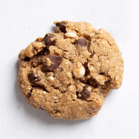 Different Oatmeal Cookies GIF