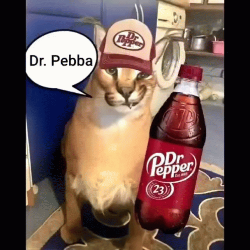 Different Sosa Cats GIF