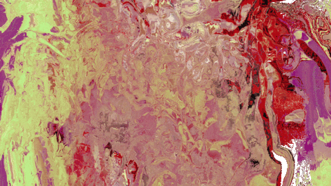 Digital Painting Illusion GIF