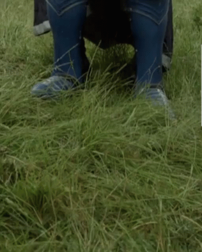 Dilly Dilly Bud Light Knight GIF