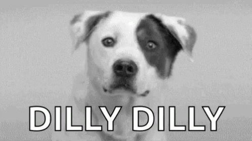 Dilly Dilly Jolly Cute Dog GIF