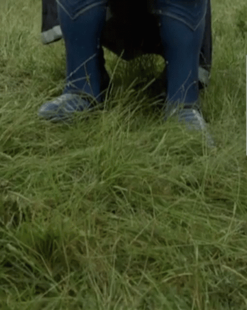 Dilly Dilly Bud Light Knight GIF