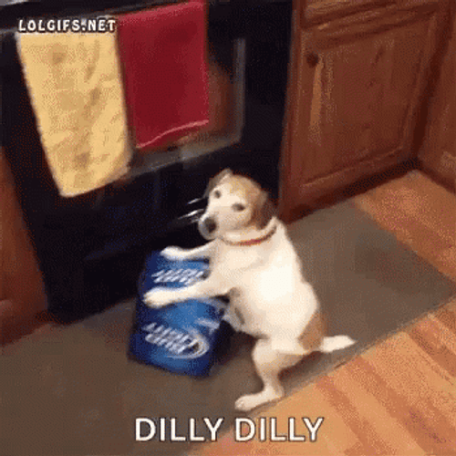Dilly Dilly Grumpy Guilty Puppy GIF