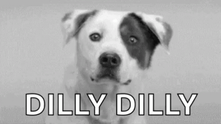 Dilly Dilly Jolly Cute Dog  GIF