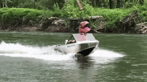 Dino Driving Boat GIF