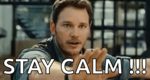 Dinos And Chris Prat Stay Calm GIF
