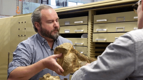 Dinosaur Bone Fossil Joe Hanson GIF