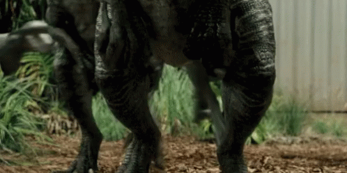 Dinosaur Legs And Feet Close Up GIF