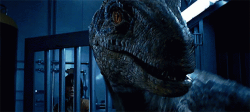 Dinosaur Mouth And Teeth In Dark Room GIF