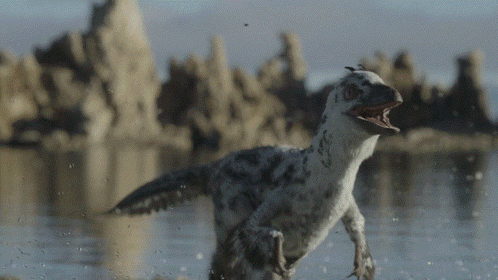 Dinosaur Running With Mouth Open in Water