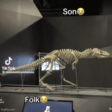 Dinosaur Skeleton Next to Screen Saying Son and Folk
