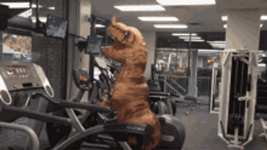 Dinosaur Workout Costume GIF