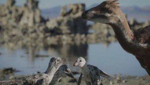 Dinosaurs Standing Near Water
