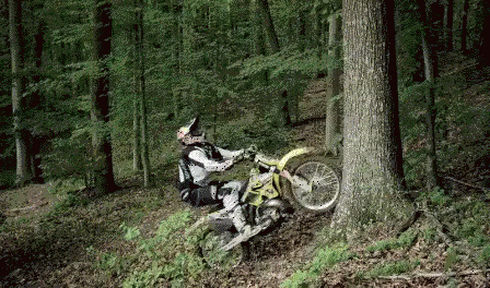 Dirt Bike Tree 360 Loop Exhibition GIF