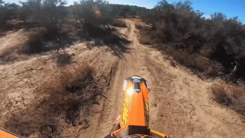 First Person Dirt Bike Ride In The Wild GIF