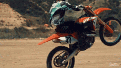 Dirt Bike Wheelie Display GIF