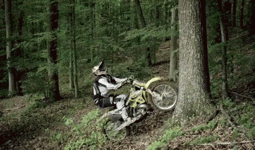 Dirt Bike Tree 360 Loop Exhibition GIF