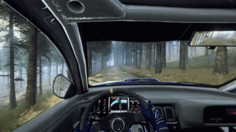 Dirt Rally Driving Car Fast Through Woods GIF
