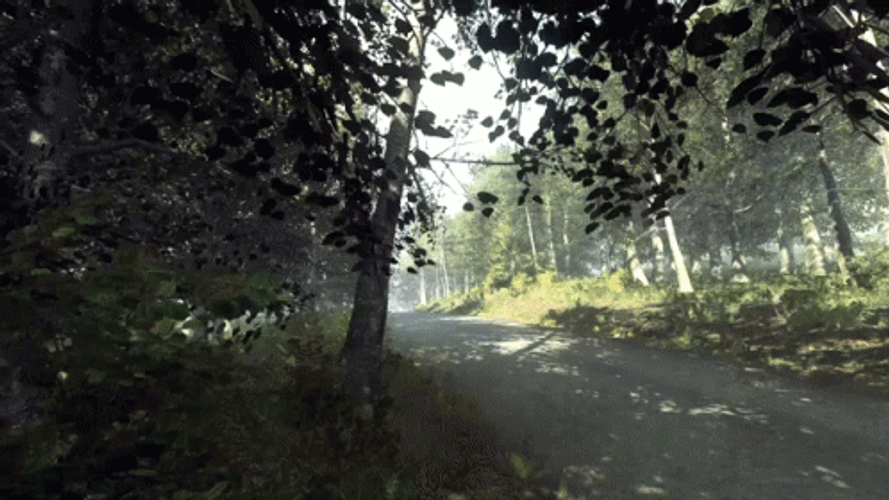 Dirt Rally Fast Drive Woods Peugeot 306 GIF