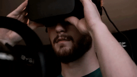 Dirt Rally Game Virtual Driving Simulator GIF