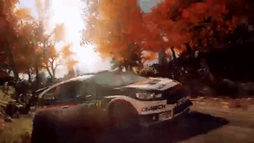 Dirt Rally Video Game Review Ign GIF