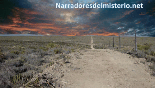 Dirt Road in Desert With Narradoresdelmisterio.net
