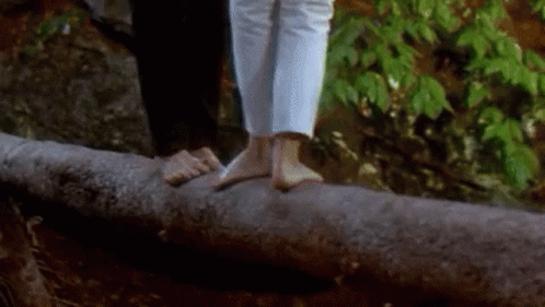 Johnny And Frances Dirty Dancing Rehearsal Fallen Tree GIF