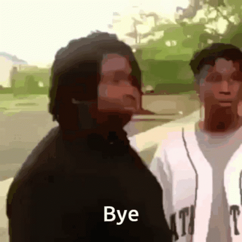Disappeared Bye Meme GIF