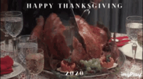 Disappointed Happy Thanksgiving Turkey GIF