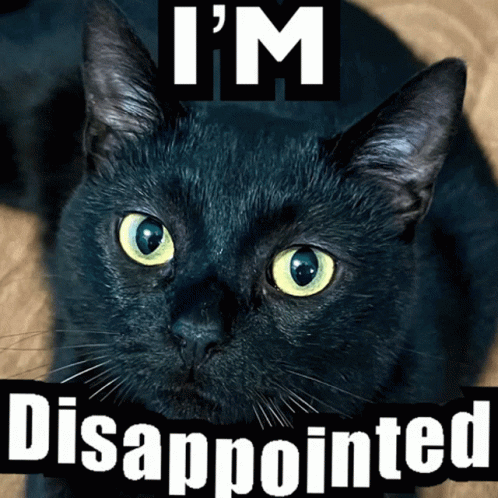 Disappointment I'm Disappointed Black Cat GIF