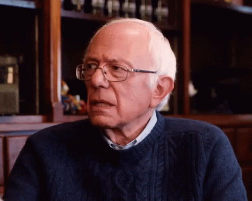 Disapprove Bernie Sanders GIF