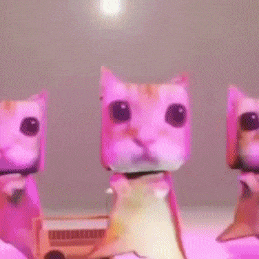 Disco Dancing Cat Meme GIF