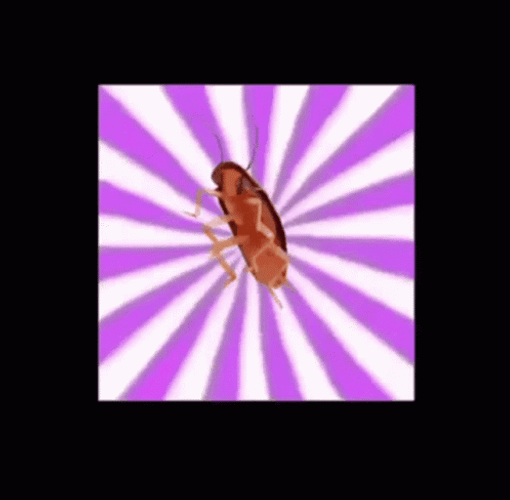 Disco Light Dancing Cockroach GIF