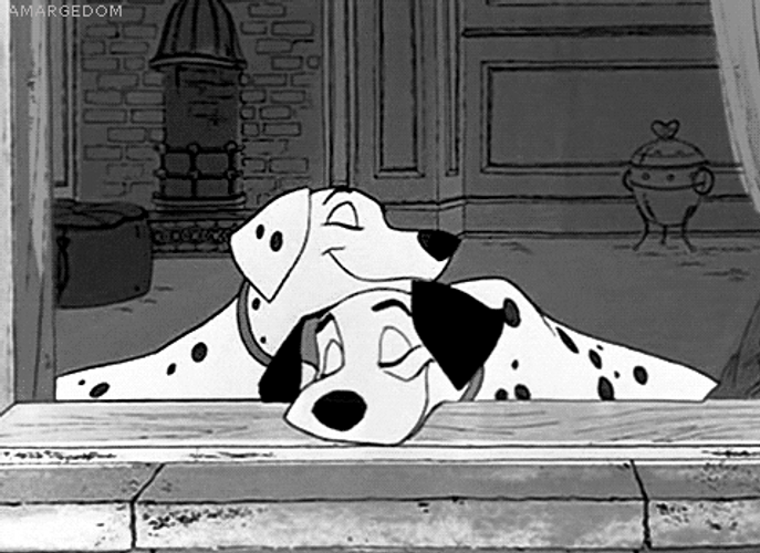 Disney 101 Dalmatians Perdita And Pongo Cartoon Love GIF