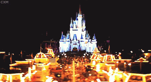 Disney Castle at Night with CXM