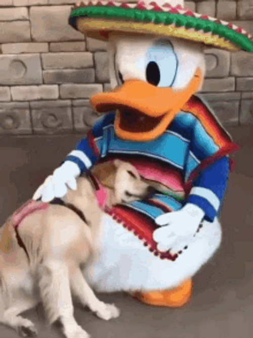 Disney Donald Duck With Dog GIF