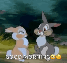 Disney Good Morning Bunnies In Love GIF