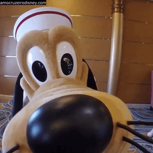 Disney Pluto Mascot Close Up Shot GIF