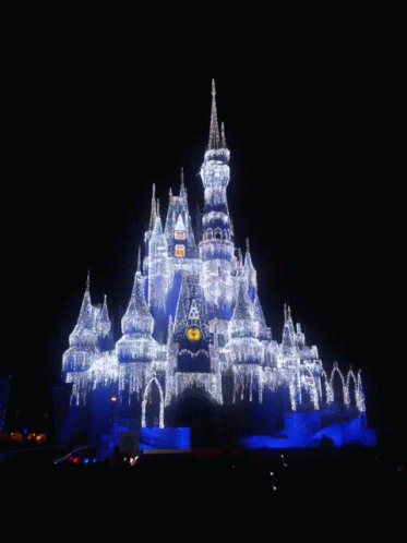 Disney World Bright Castle GIF