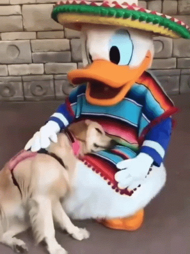 Disney World Donald Duck With Dog GIF