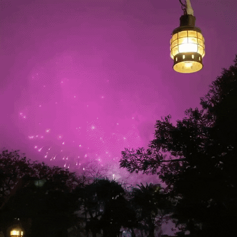 Disney World Incredible Fireworks Sky Show GIF