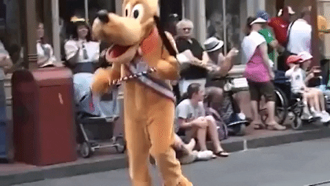 Disney World Pluto Marching On Street GIF