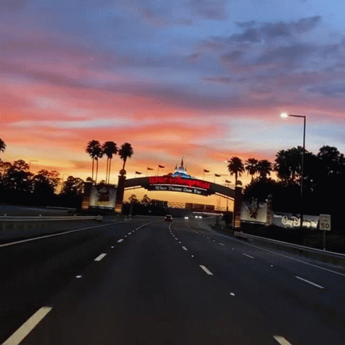Disney World Road Arc GIF