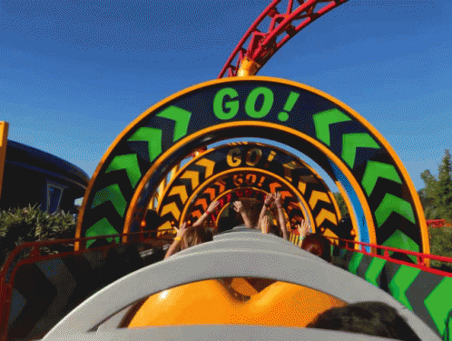 Disney World Roller Coaster Ride GIF