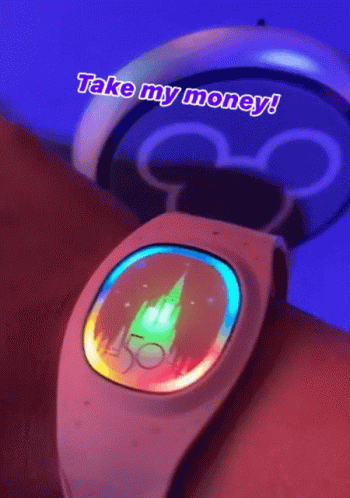 Disney World Watch Take My Money GIF
