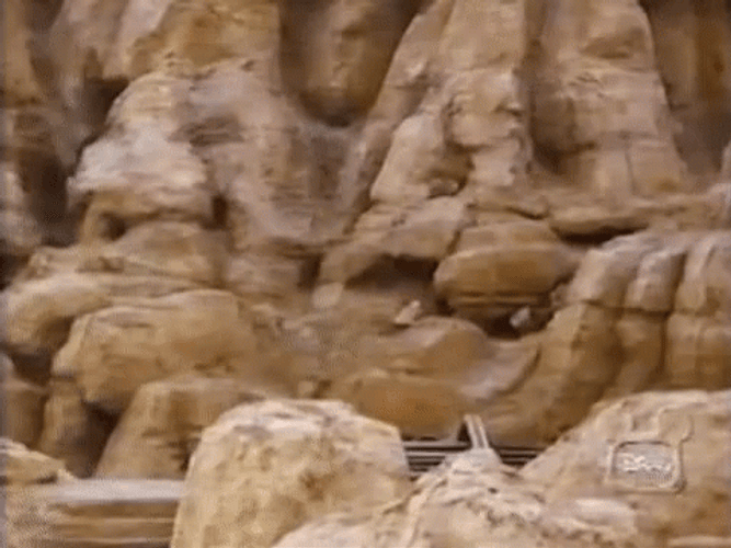 Disneyland GIF
